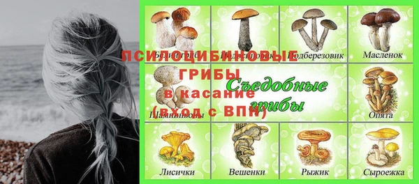 синтетический гашиш Белокуриха